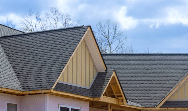 Best Asphalt Shingles Roofing  in Hoback, WY